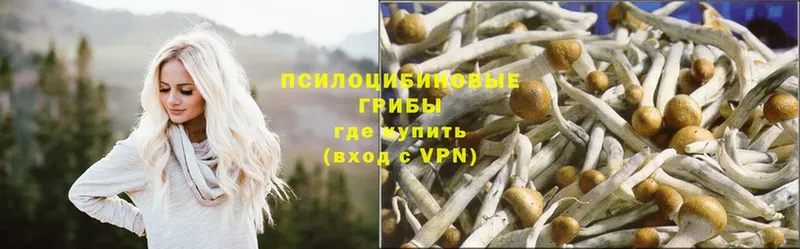 гидра ссылки  Лангепас  Псилоцибиновые грибы Psilocybe 